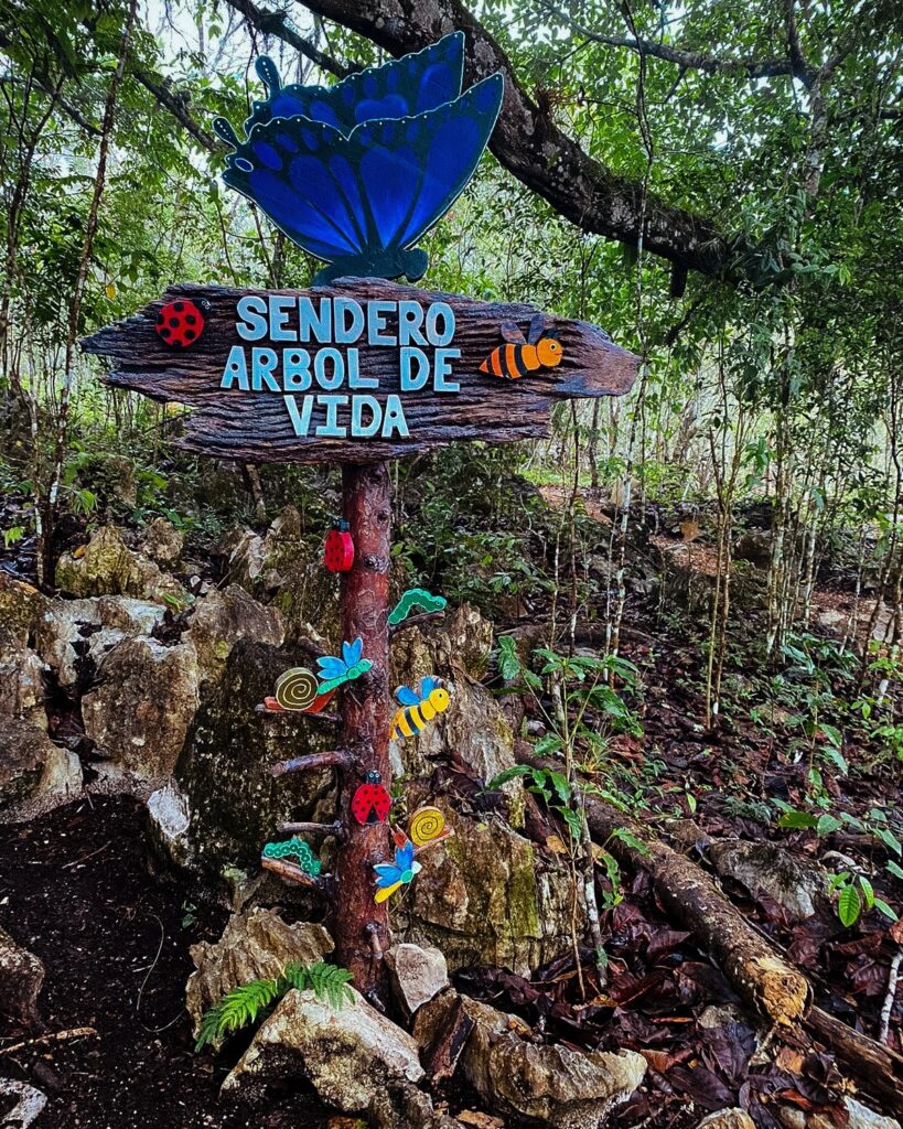 SENDERO